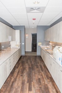 Dental lab or sterilization corridor: long room with gray cabinets, wood-look flooring, and overhead lighting